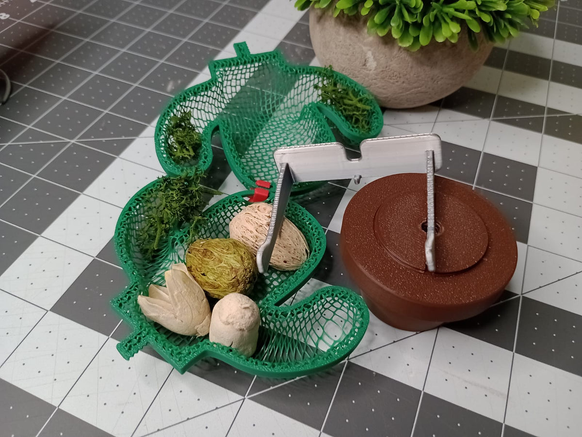 Cactus cachette — vue 11