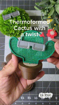 Cactus cachette