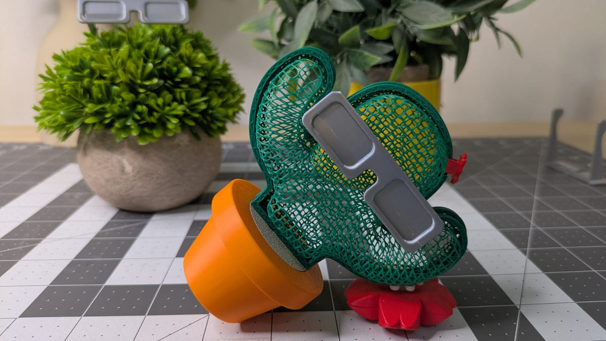 Cactus cachette — vue 7