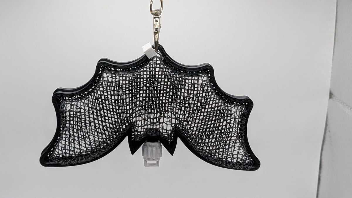 Chauve-souris résille — vue 2