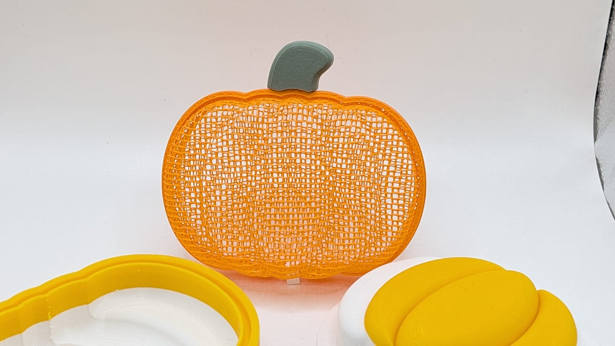 Citrouille résille — vue 6
