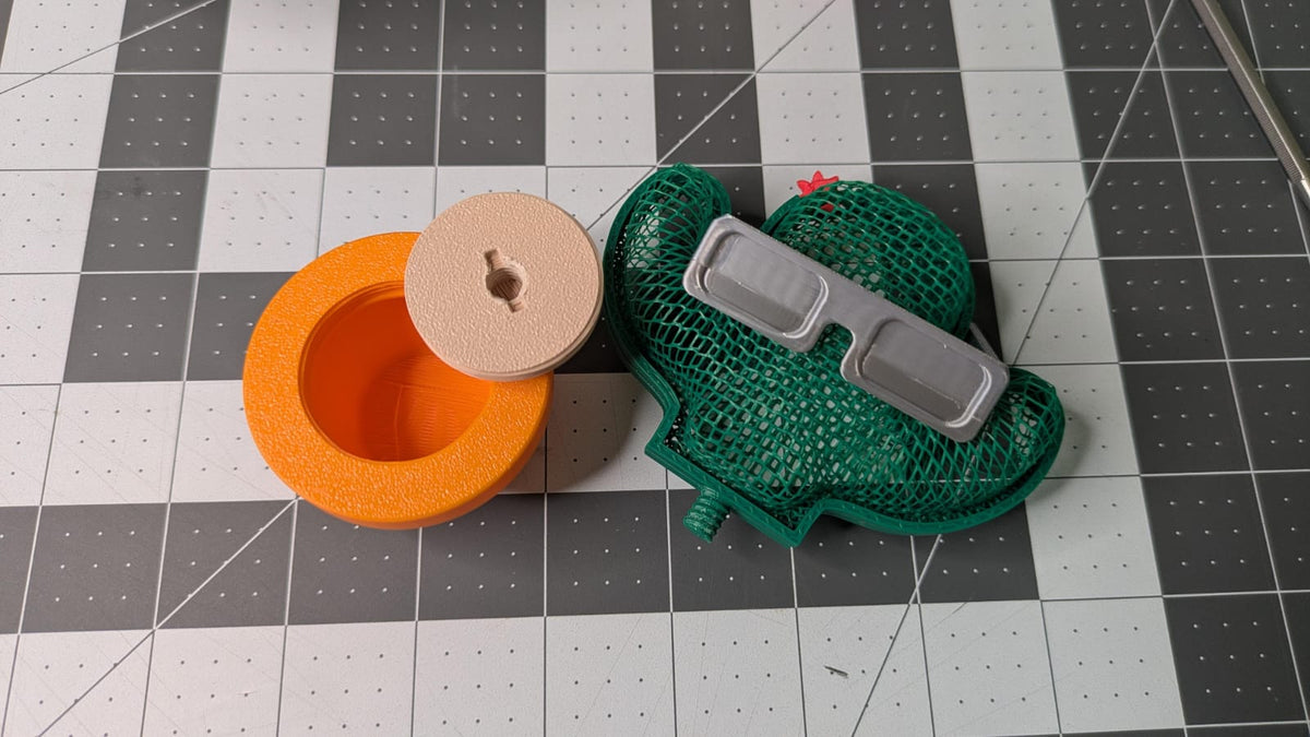Cactus cachette — vue 8