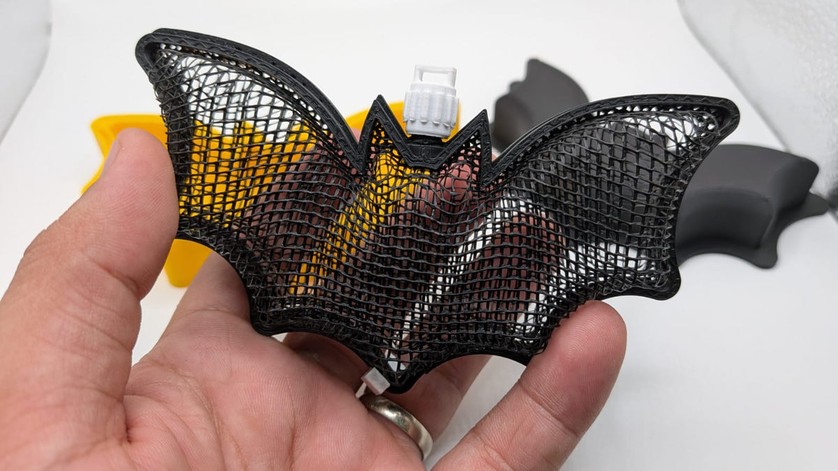 Chauve-souris résille — vue 4