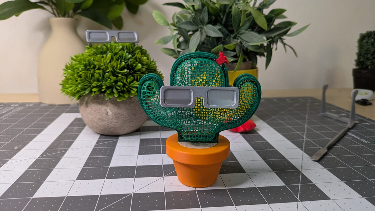 Cactus cachette — vue 3