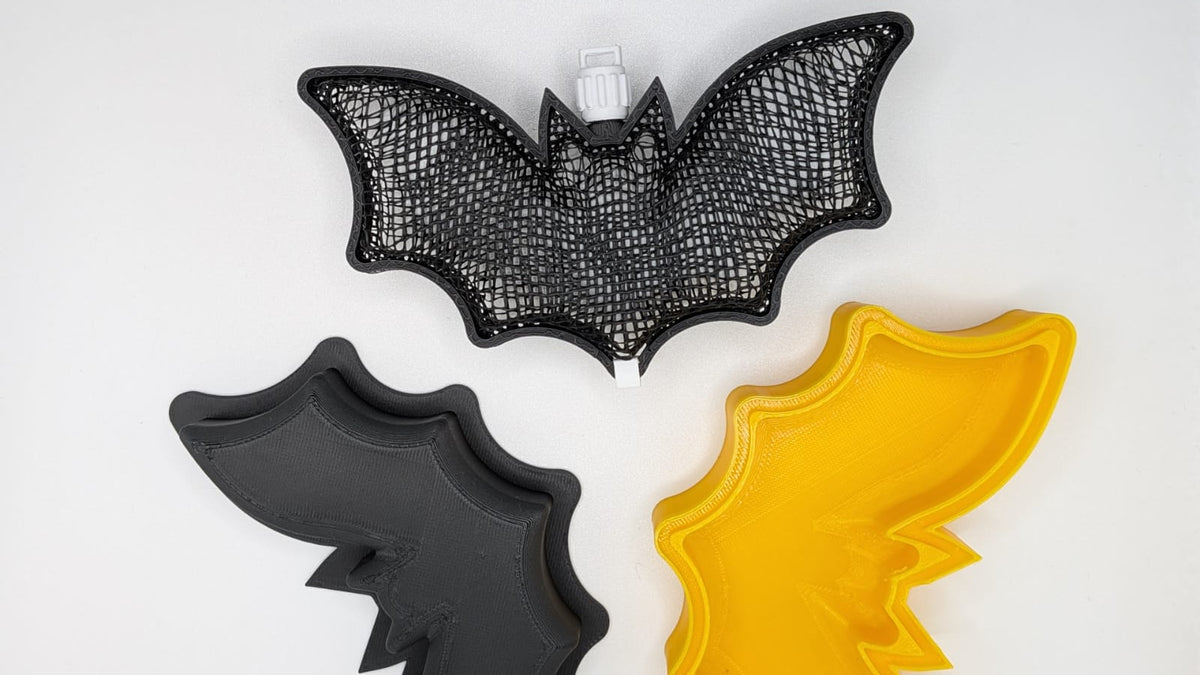 Chauve-souris résille — vue 7