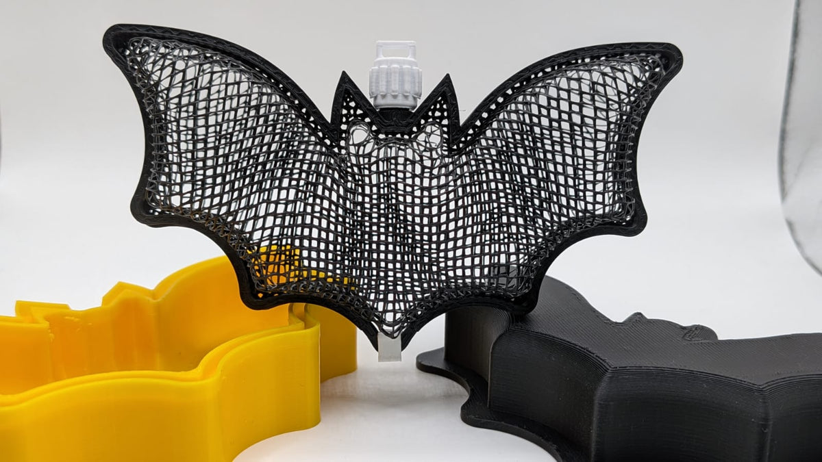 Chauve-souris résille — vue 6
