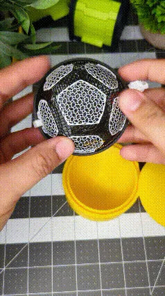 Ballon de foot